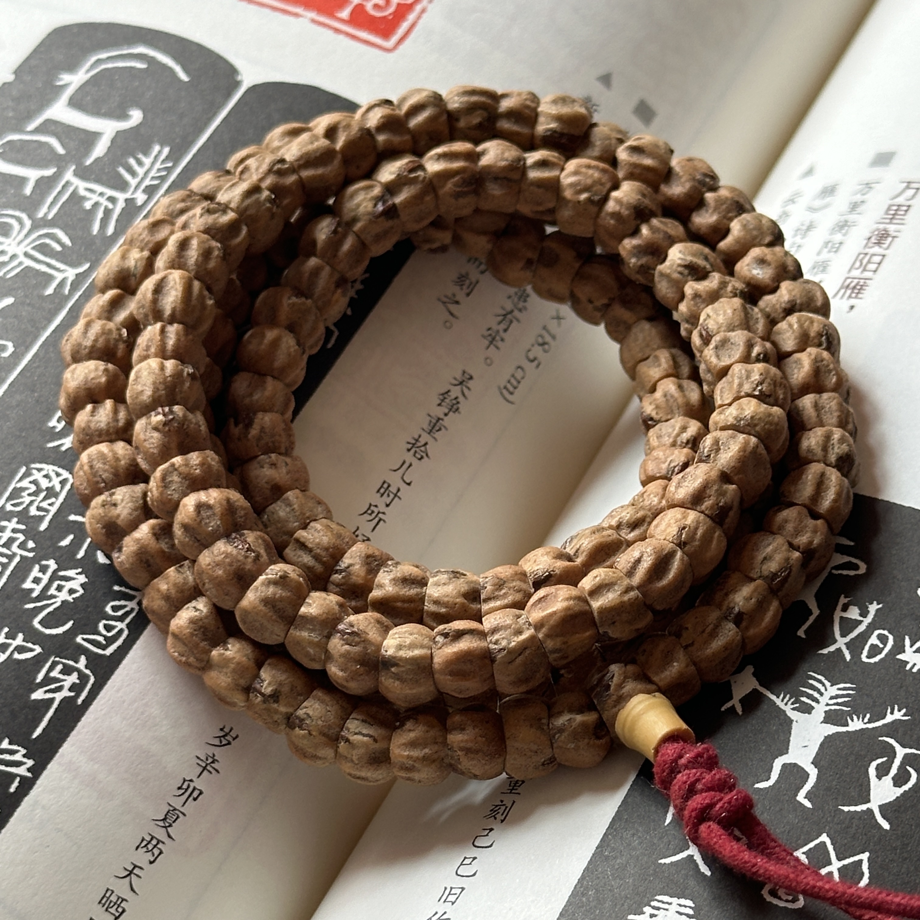 言澈YANCHE柏香籽长串热振百香籽