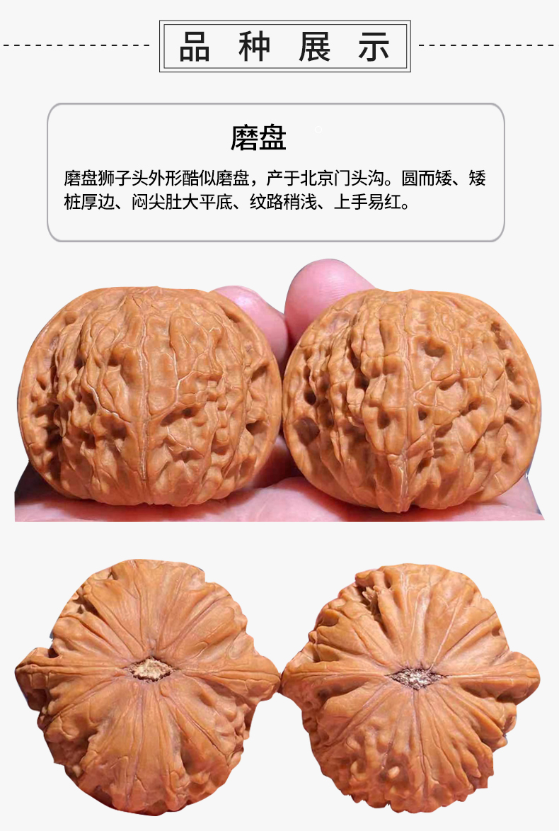 文玩核桃CDZX5557