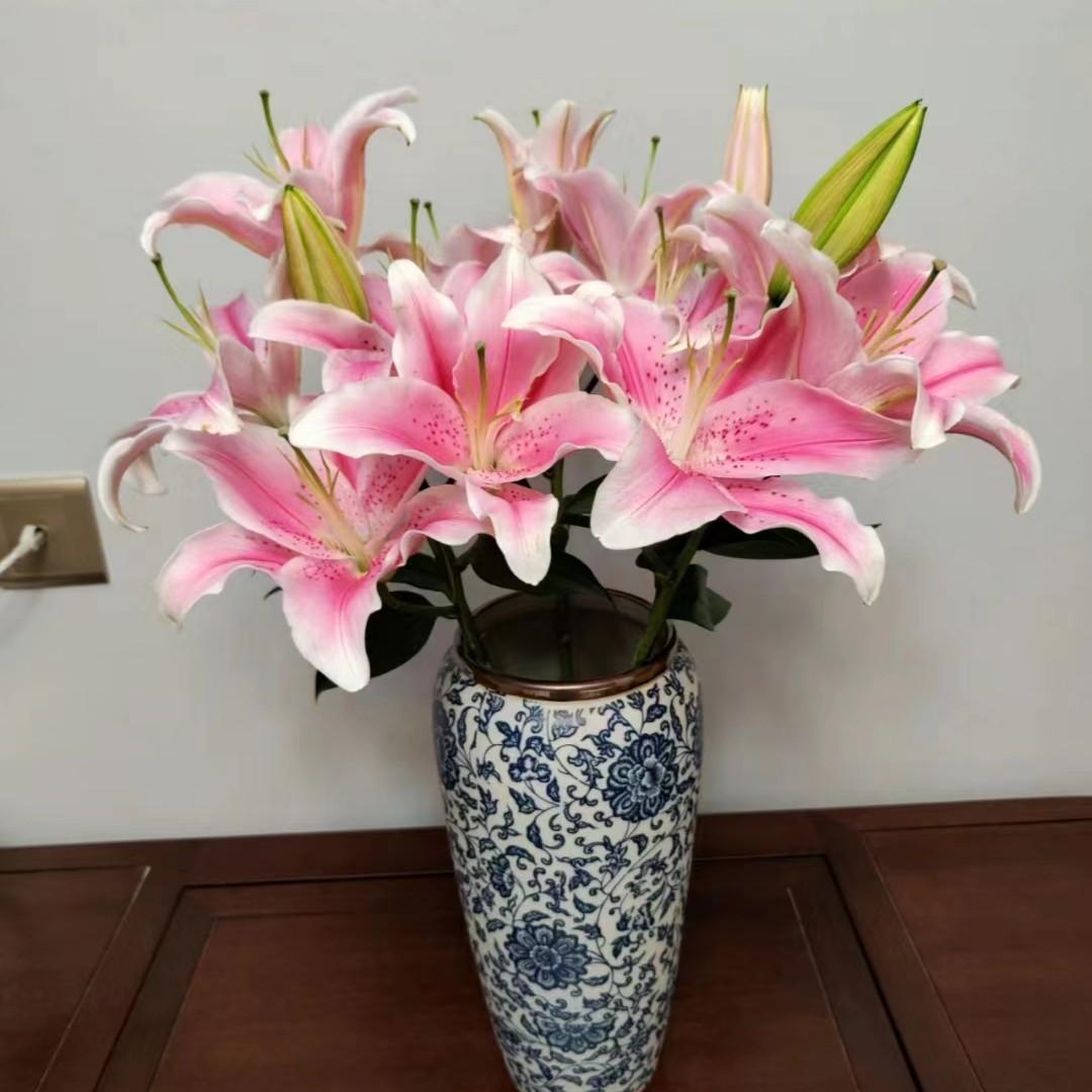 【香水粉百合】百合云南直发直批【0度以下拍保温棉】