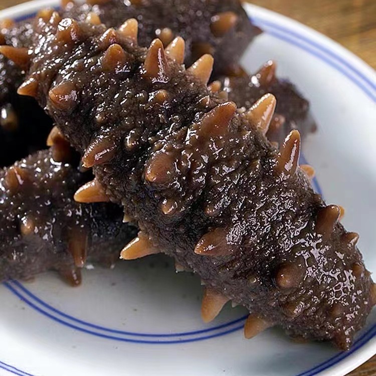 超大鲜食海参 劲道新鲜 营养滑嫩鲜美 5-8只/包 500克/包 发顺丰