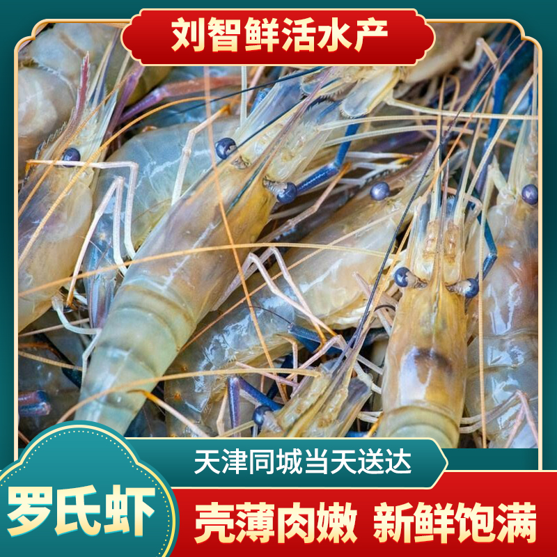 罗氏虾 海产 2-5斤 到货不保活