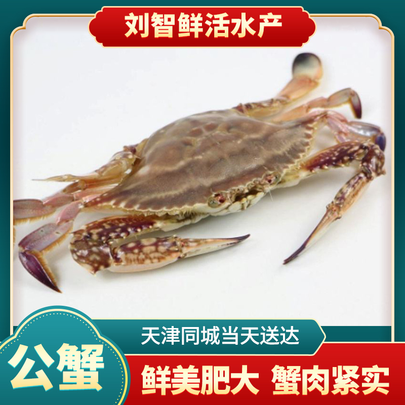 【保鲜不保活】公蟹三角通货（单只1-2两左右 每斤6-7只左右）