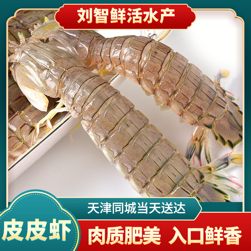 【精品皮皮虾】（一斤20条左右） 海产 2-5斤 【保鲜不保活】上汽五分钟