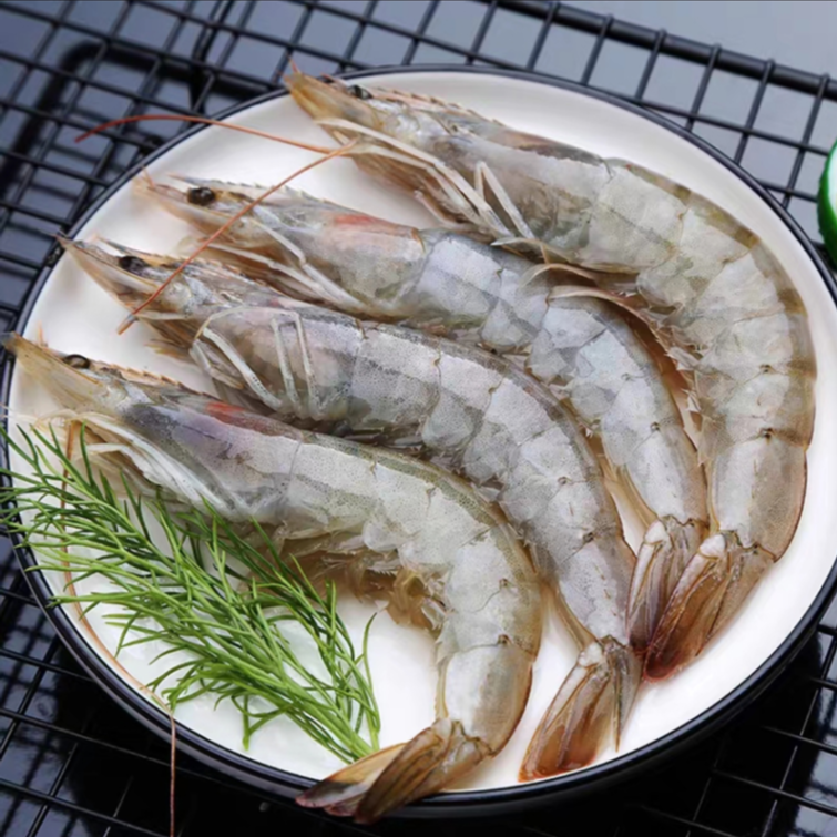 新鲜3040规格海洋大虾 速冻锁鲜
