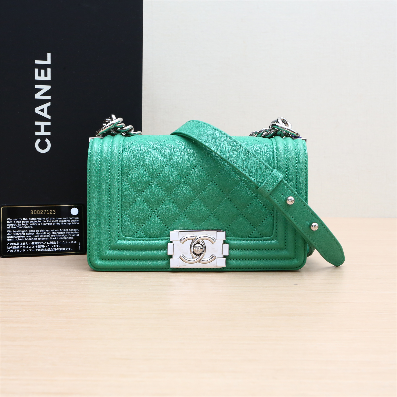 99新 Chanel/香奈儿 小花姑姑P214137594Leboy 小号 20.5cm 绿色