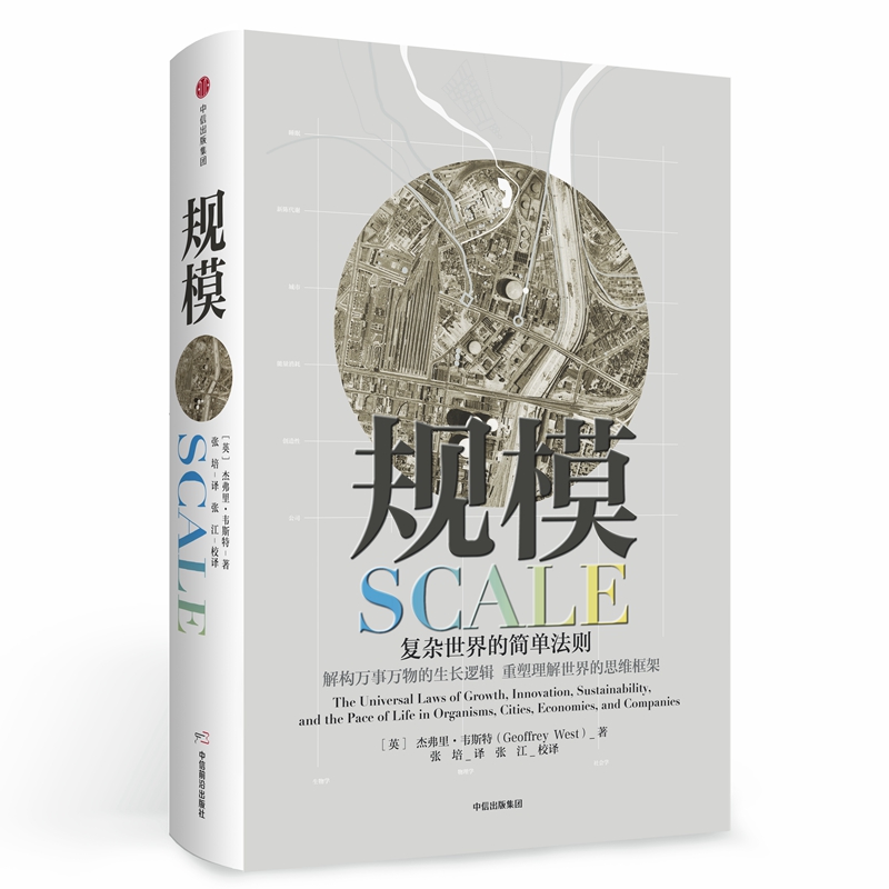 规模(精)  正版书籍精选好书
