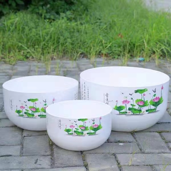 睡莲碗莲花盆无孔水培花盆塑料莲花盆水培盆加厚矮款