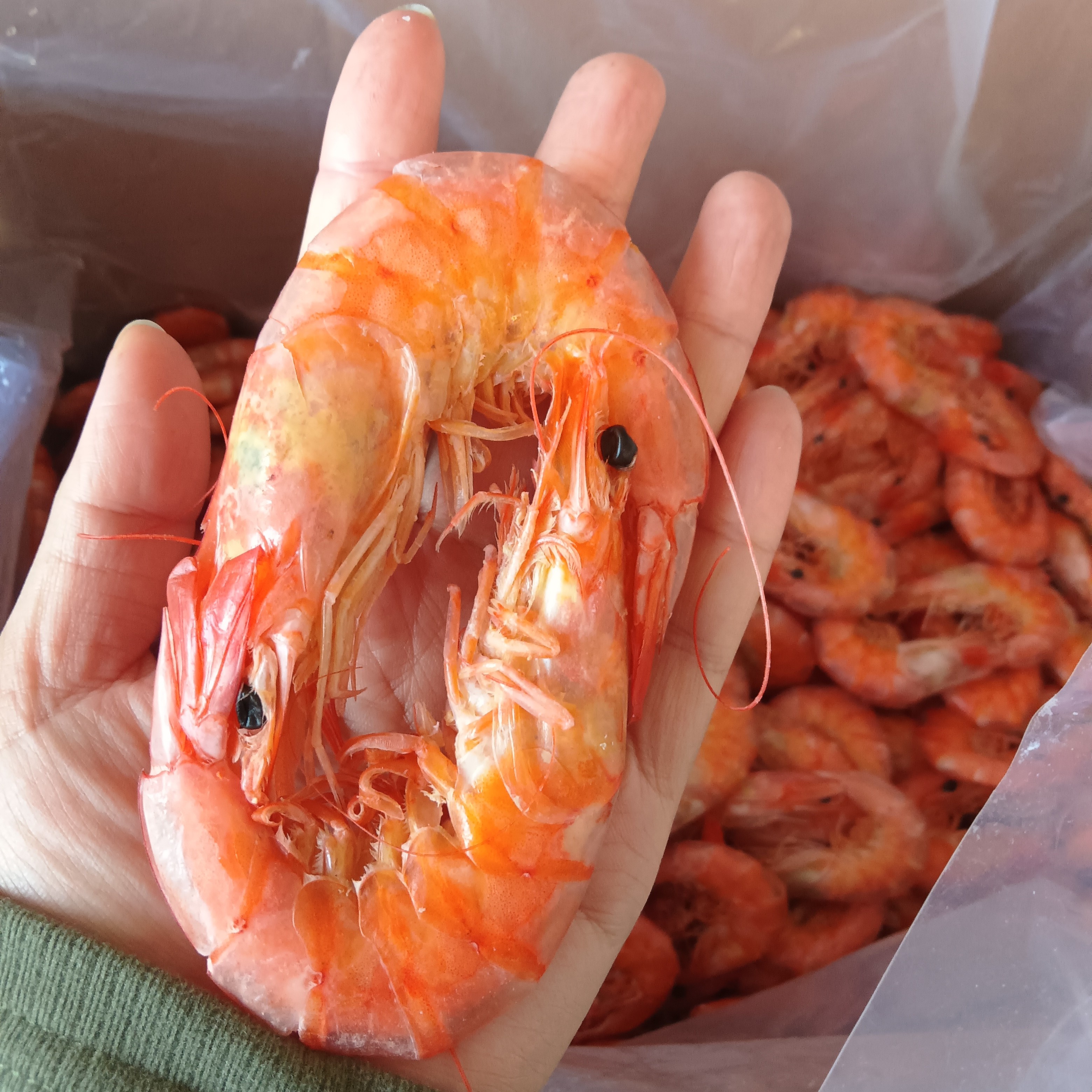 烤虾礼盒，个头大，送礼佳品