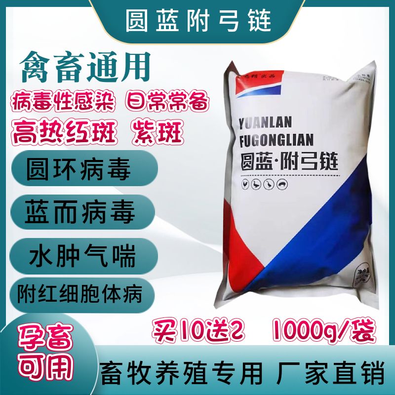 兽用克蓝猪用圆环蓝耳病毒猪瘟流感圆蓝净扶正散抵抗病毒圆蓝清