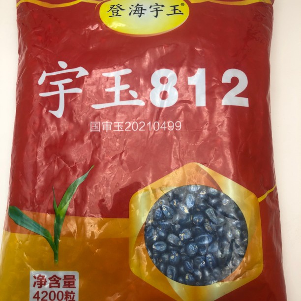 （大棒子）登海宇玉812一袋，拍五发六