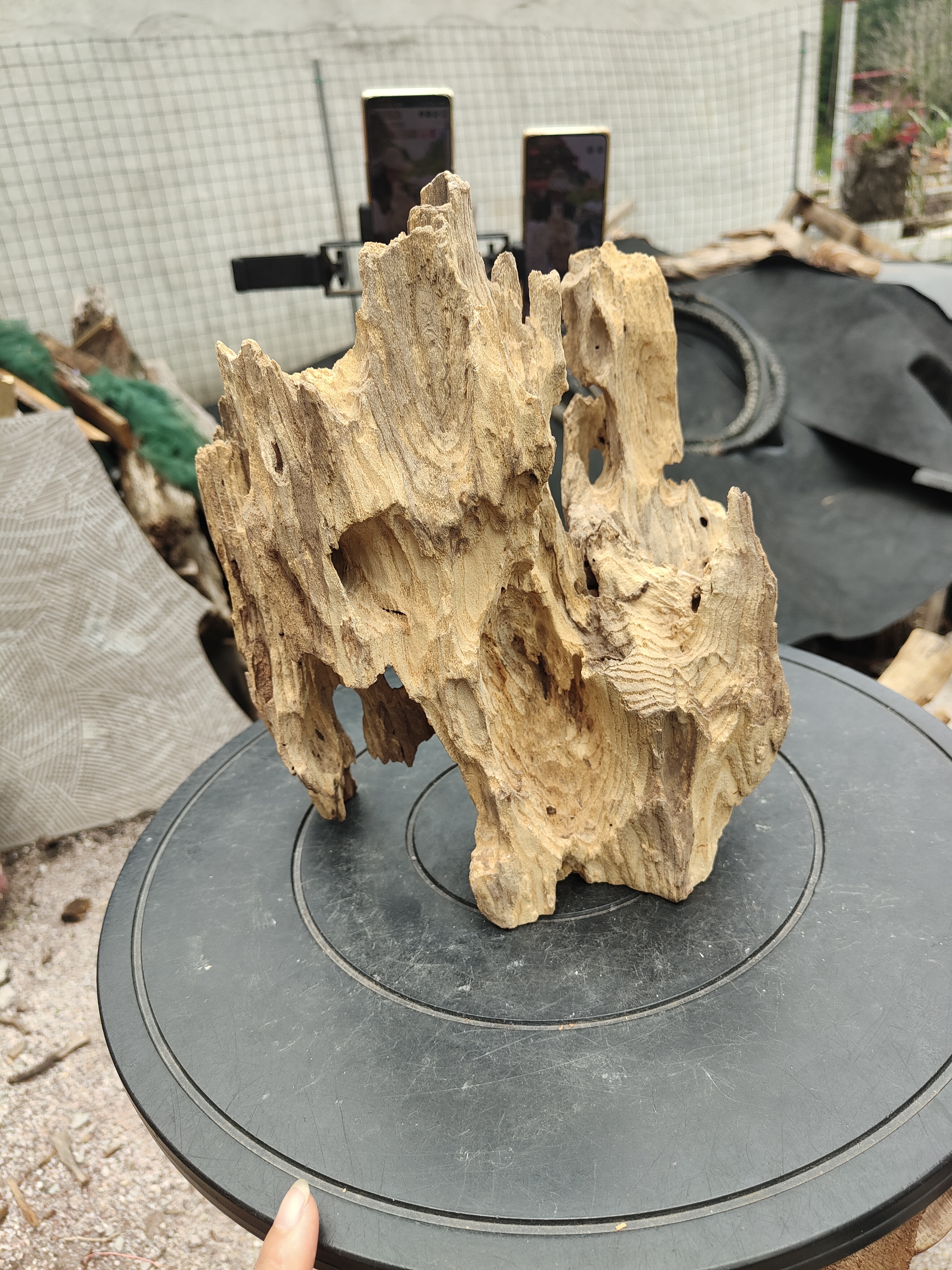 广西金秀大瑶山天然摆件