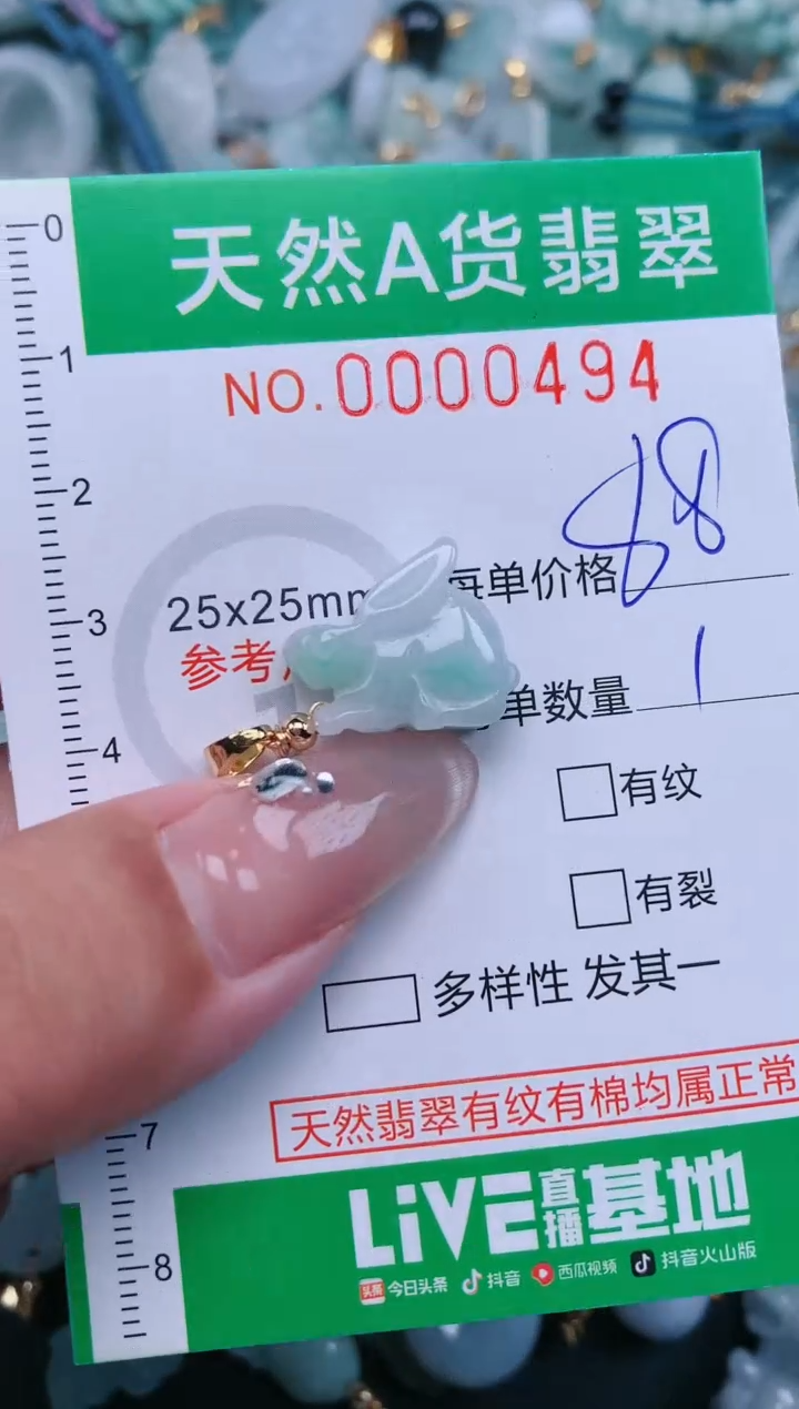 【闪购商品】翡翠颈饰未镶嵌.0000494