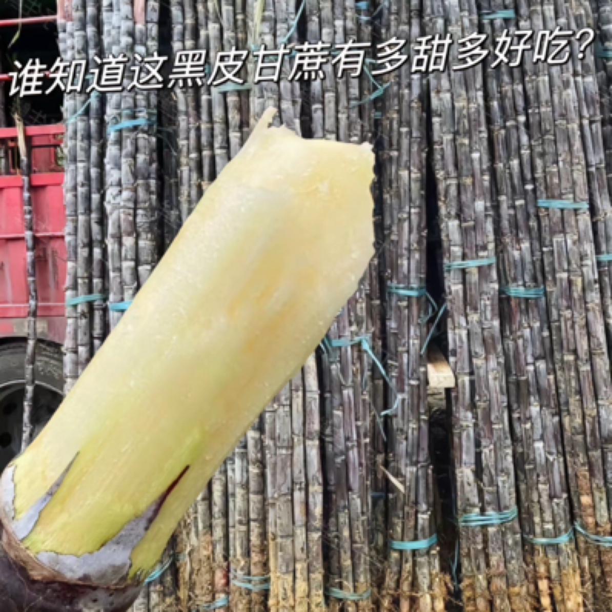 黑皮大甘蔗一根，免费削皮！