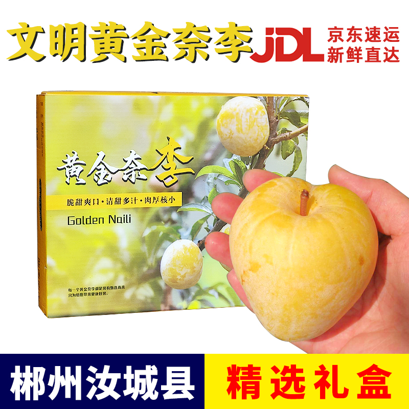 【京东发货】正宗文明黄金奈李新鲜现摘恐龙蛋脱骨李脆甜多汁3斤起