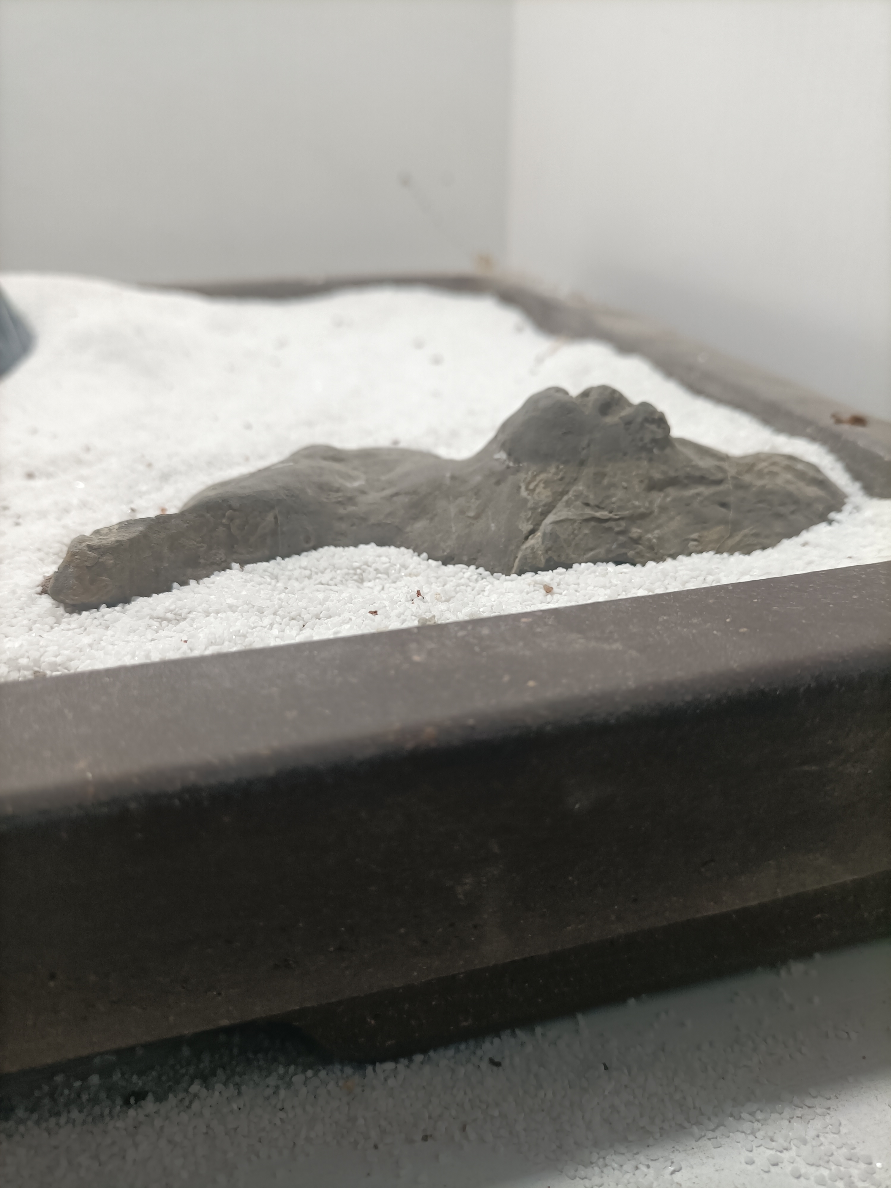 灵璧石，仅供直播间参拍，不包邮