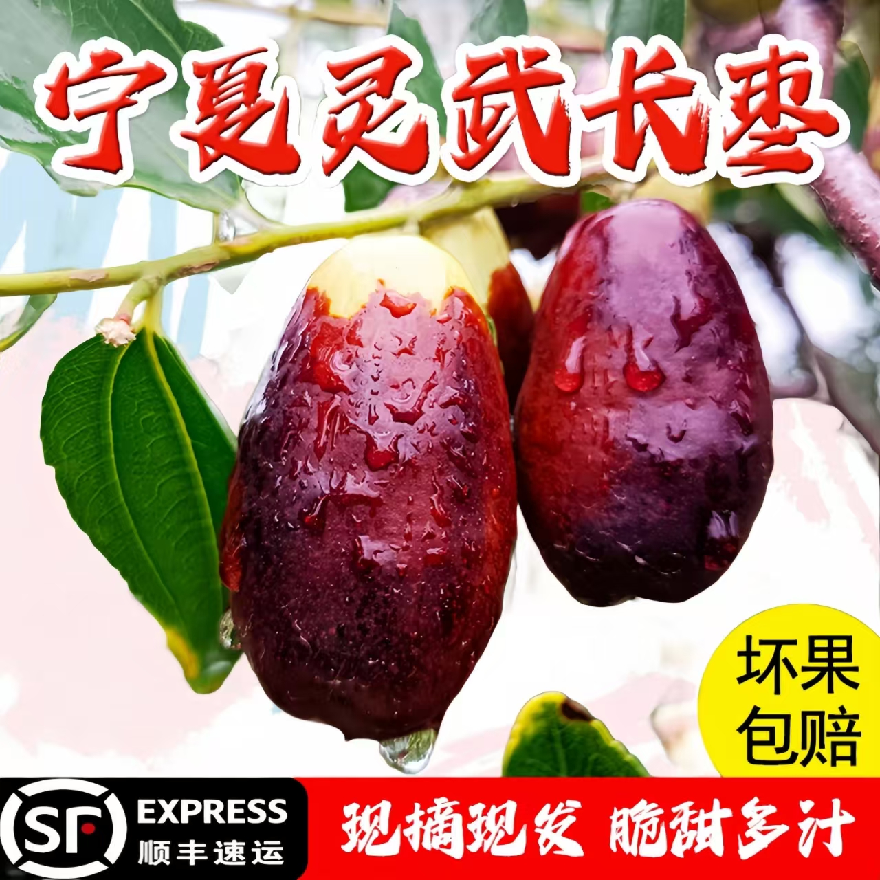 灵武长枣【产地直发】顺丰包邮新鲜脆甜多汁皮薄肉厚应季水果红枣