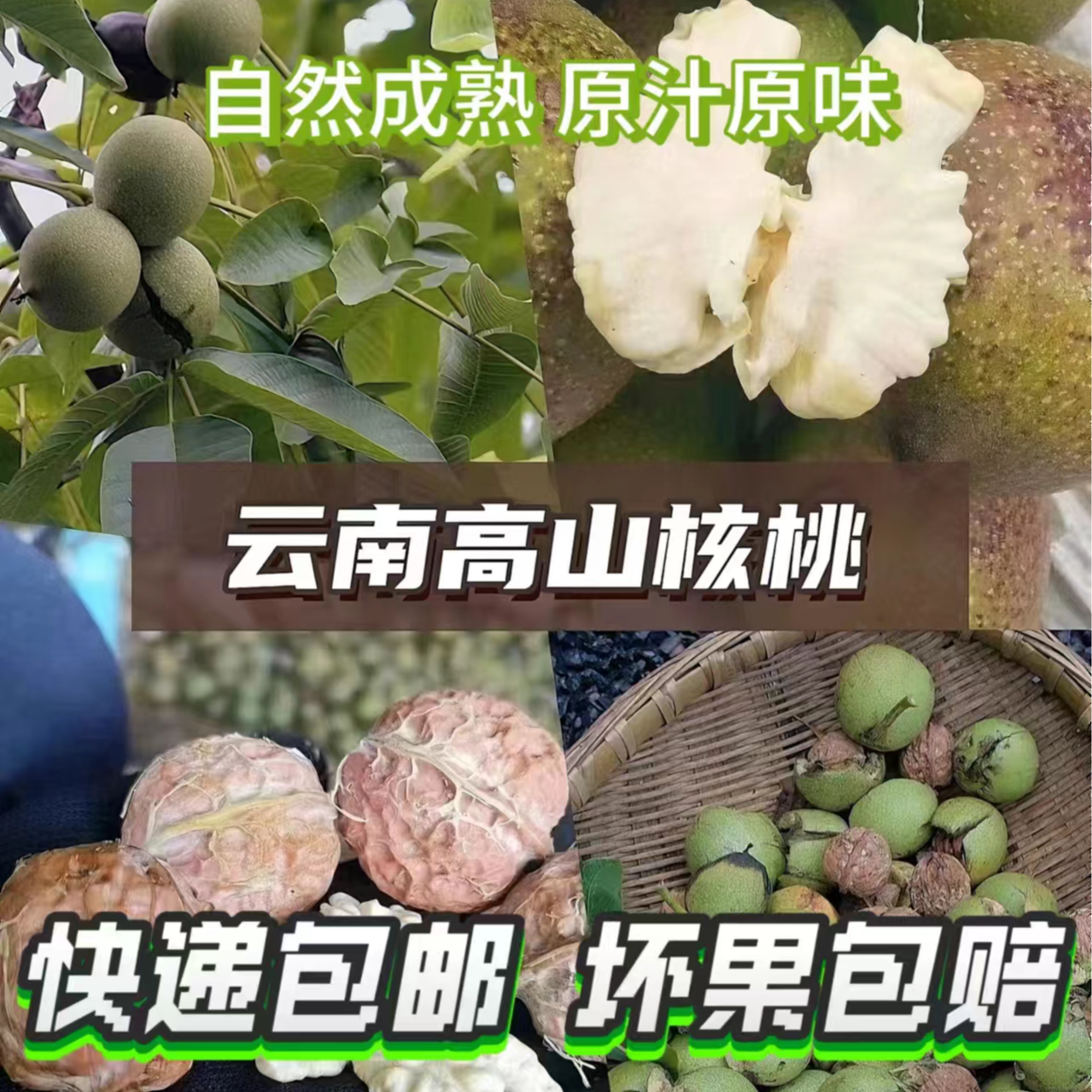 【去青皮】云南新鲜湿核桃高山老树核桃无添加孕妇小孩新货大果薄皮