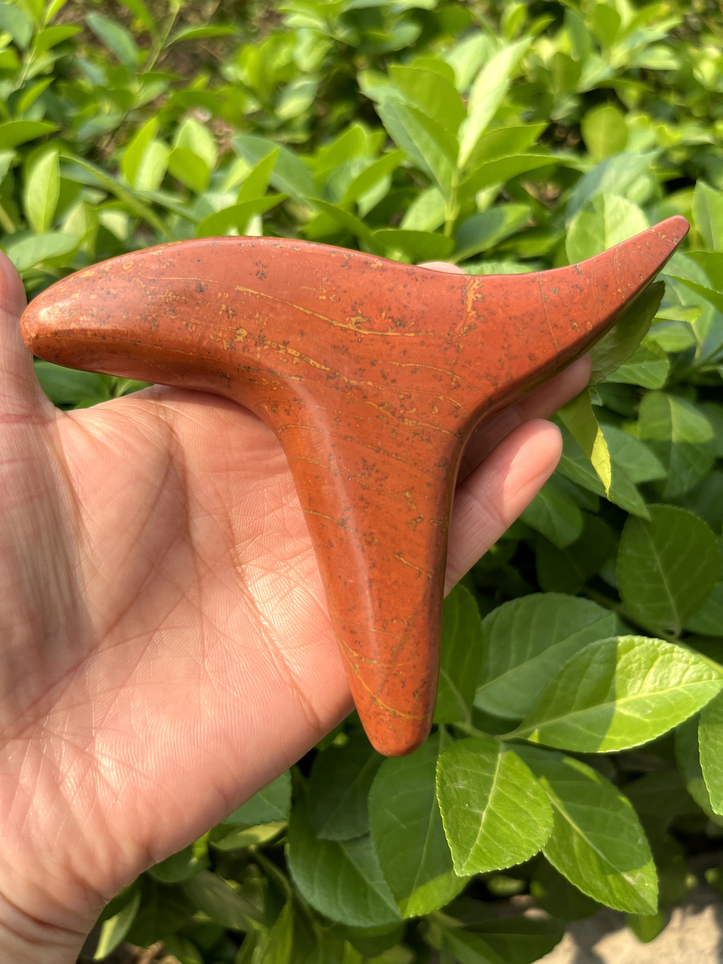 泗水富贵红砭石大雀