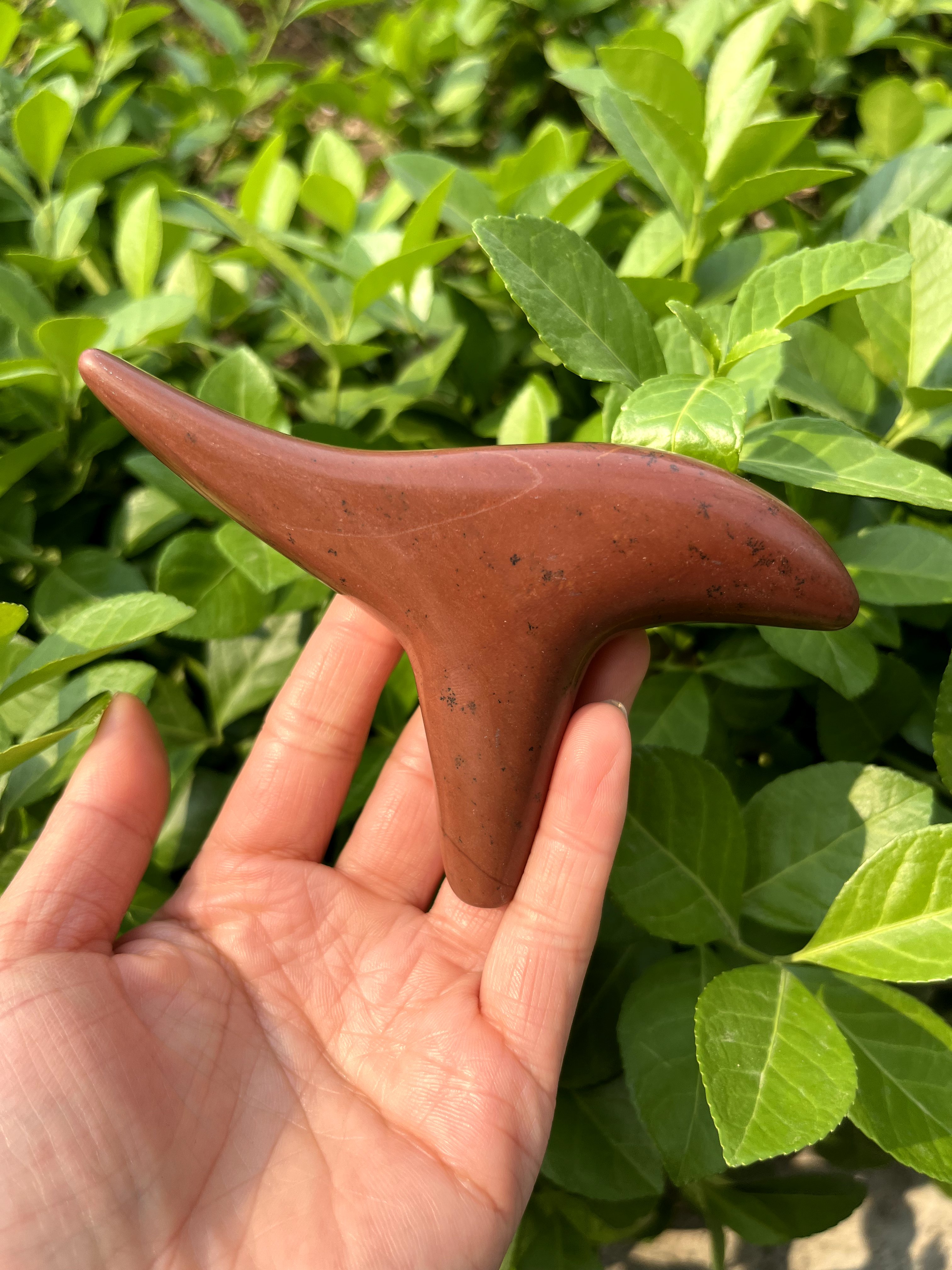 泗水富贵红砭石中雀