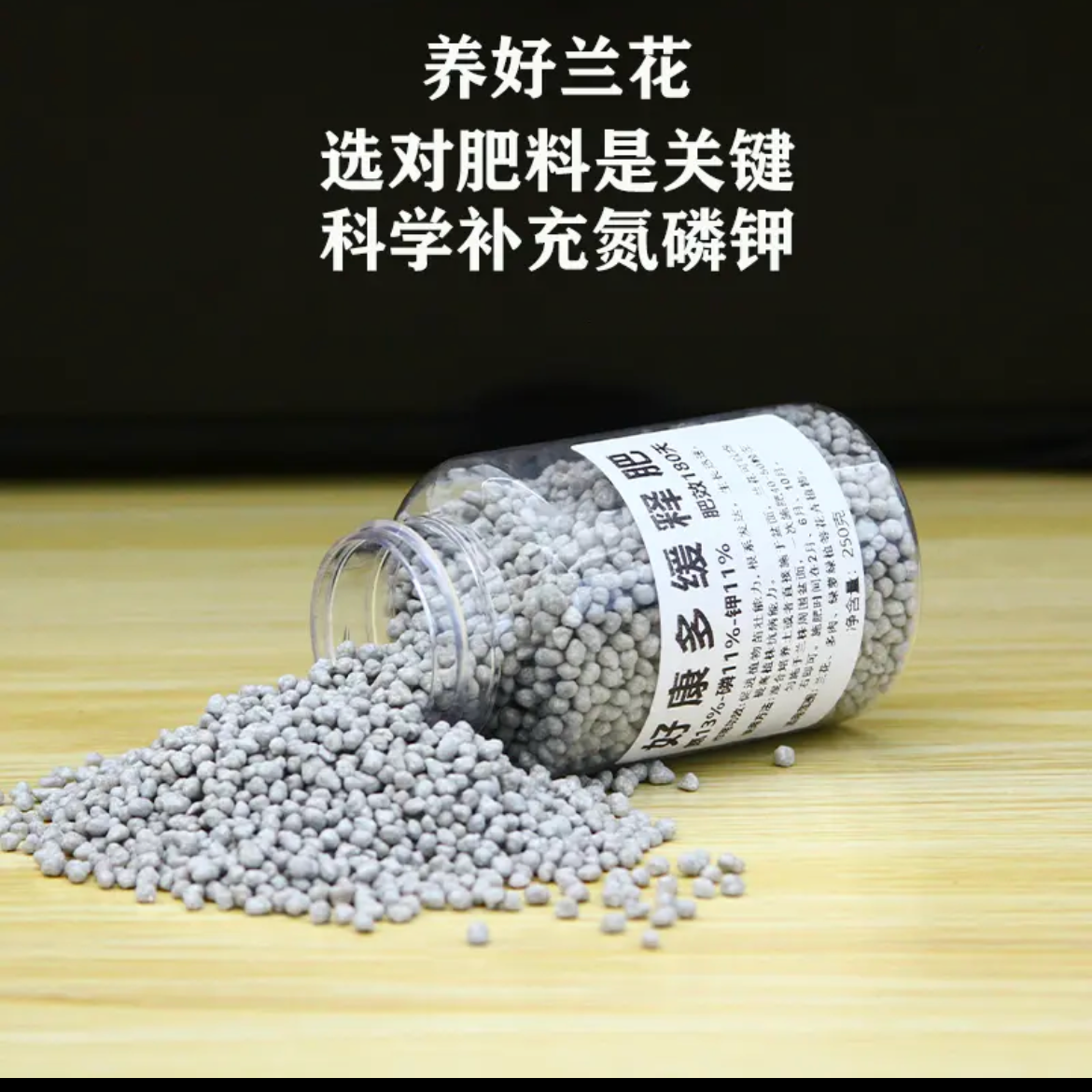 养兰花肥开花肥料缓释肥日本专用进口好康多颗粒肥花卉补充