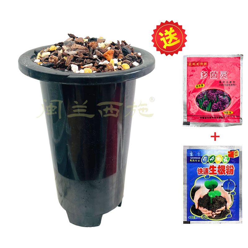 兰科植料体验装2斤高档颗粒兰花土六合一养兰专用土蝴蝶兰营养土
