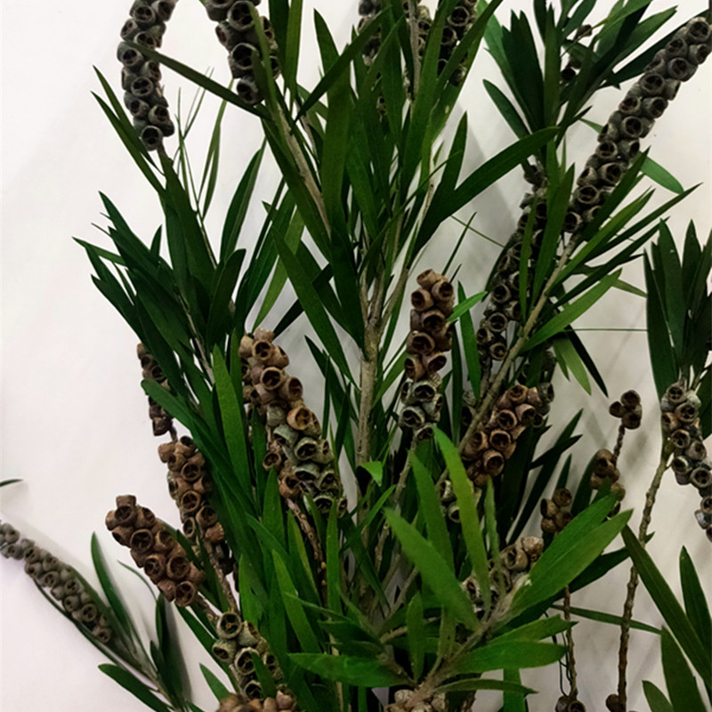 【花落谁家】云南干花花束花瓶居装饰长微景观长枝永生花佛珠