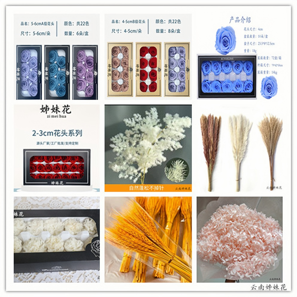 【直播间混搭专属链接】干花 永生花 展示链接居家插花装饰花材