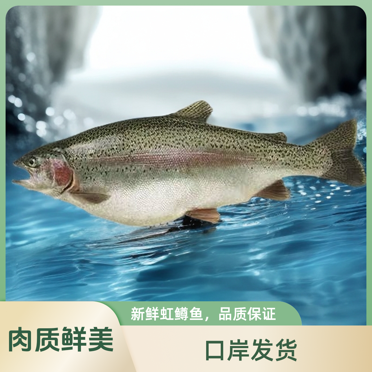 国产养殖单冻整条虹鳟鱼淡水鱼肉多刺少红肉活体冷冻包装发货