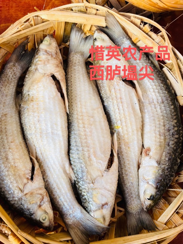 西胪半咸水尖头鱼饭