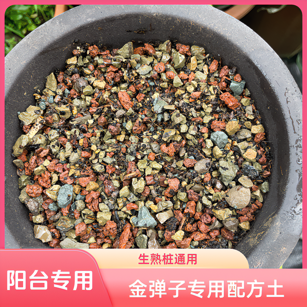 【阳台专用买10省1】金弹子生桩熟桩通用颗粒配方土【9.6斤】