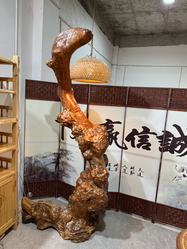 香樟木整体树瘤落地灯，自然造型，独特风格，尺寸：220-115-55厘米