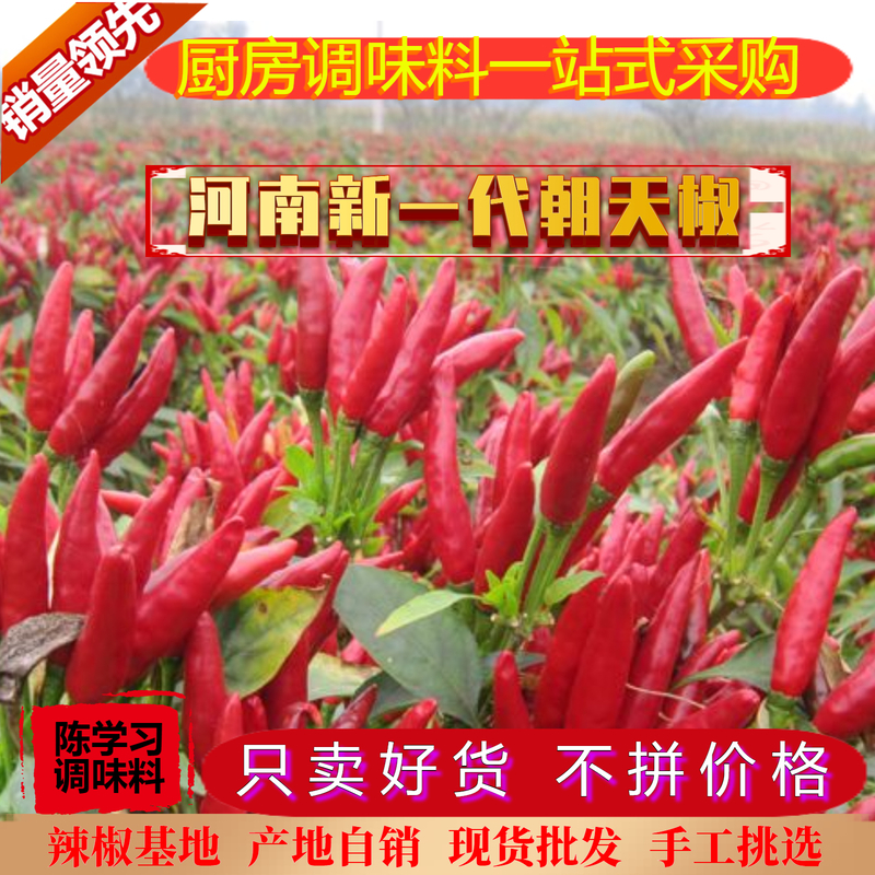 陈学习辣椒片河南新一代朝天椒产地自销厨房调味料辣椒