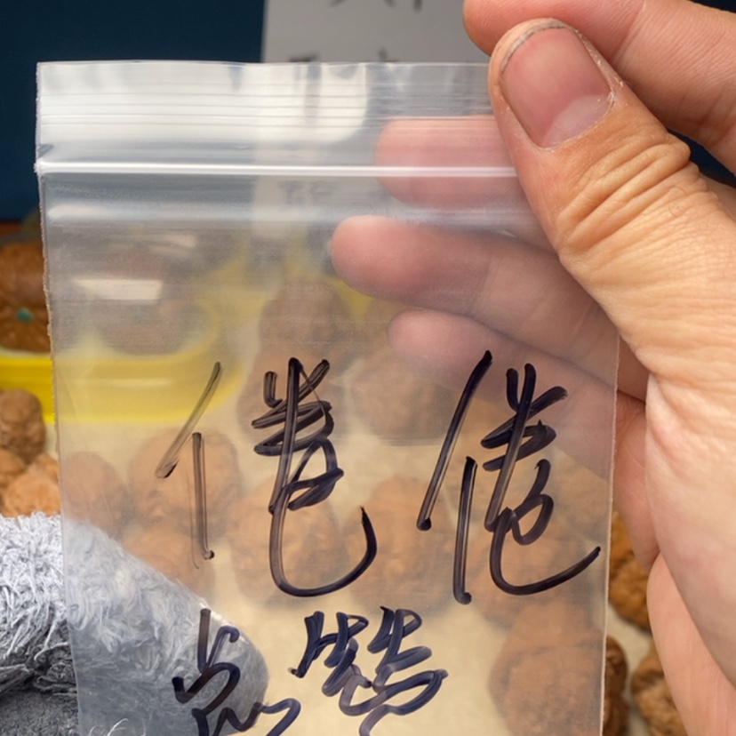 【闪购商品】文玩核桃吊坠卷***烊