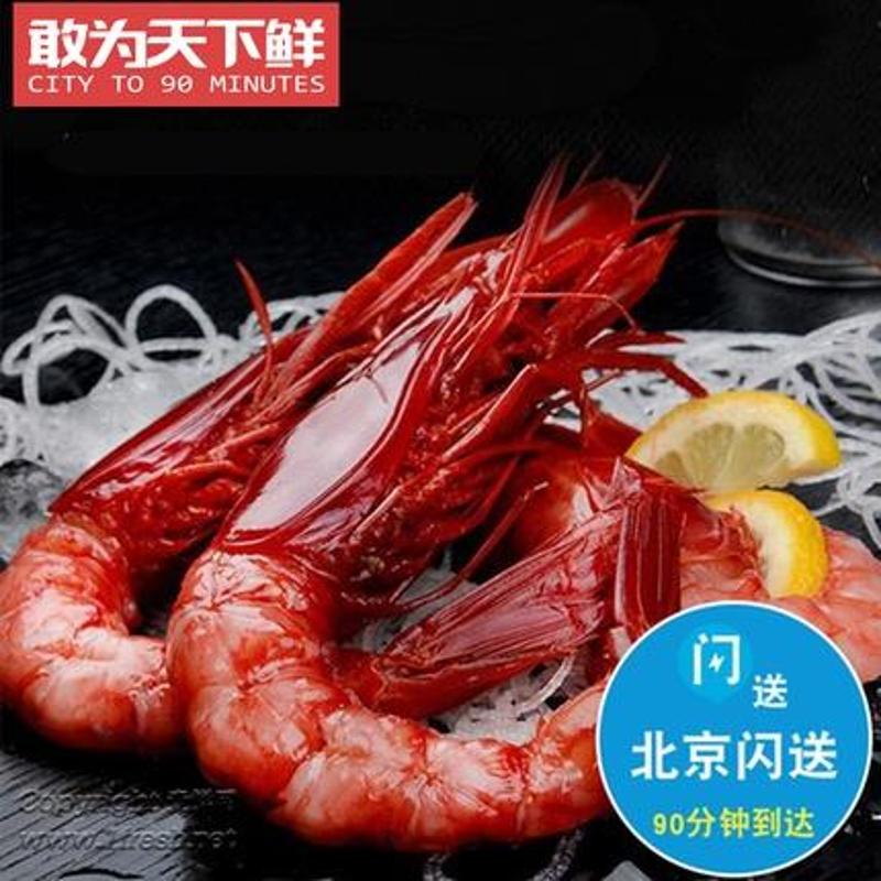 多规格可选 西班牙 红魔虾 海捕鲜活冷冻 超大刺身级虾 生腌 熟吃