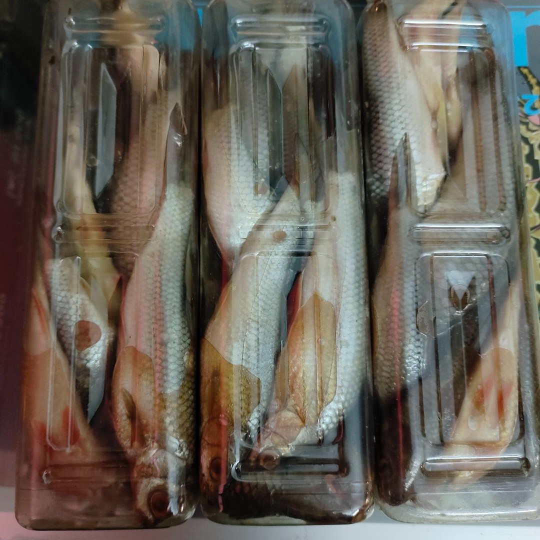 勇哥臭鱼王钓鲶鱼饵鲮鱼制作巨物饵