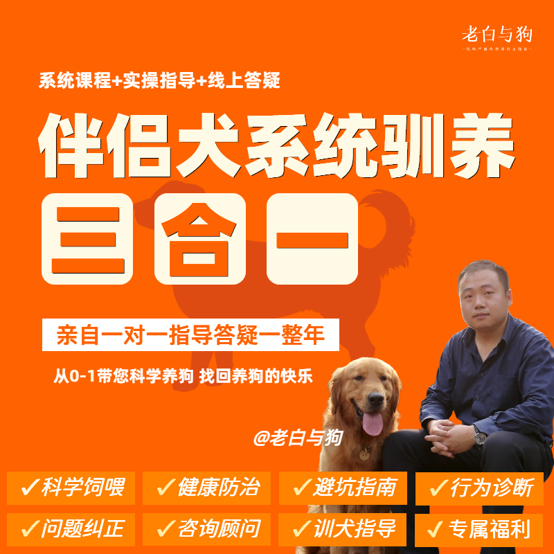 【老白与狗】伴侣犬系统驯养三合一 带您找回养狗的快乐