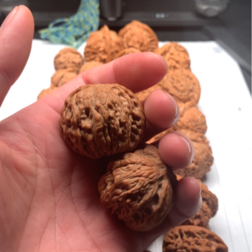 【闪购商品】文玩核桃吊坠?****董