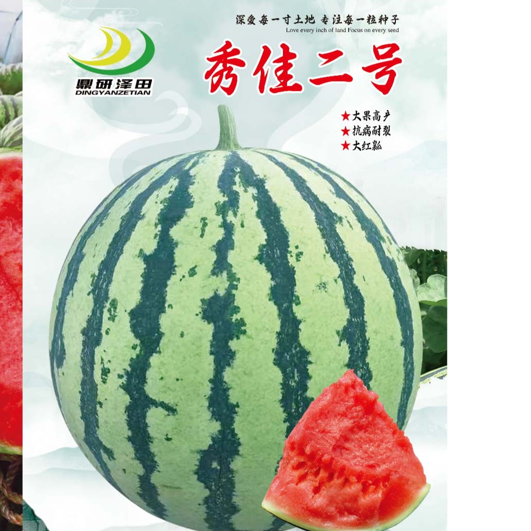 秀佳二号西瓜种子早熟、抗病、耐裂、大红瓤1000粒一袋