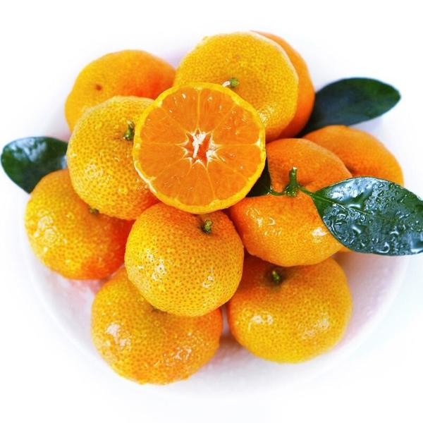 【特惠尝鲜】好甜蜜桔1kg两斤装~超大份