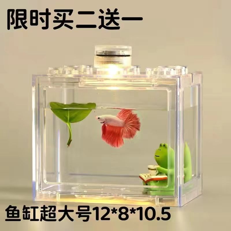泰国斗鱼积木鱼缸小型海藻球盒积木式微景观创意买二送一高透高清