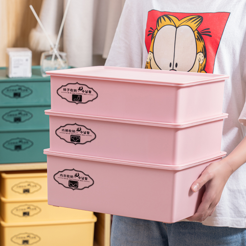 内衣收纳盒带盖分格组合文胸袜子内裤学生家用宿舍贴身衣物整理箱