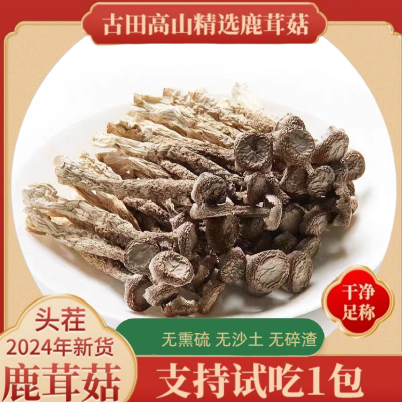 （高山鹿茸菇）古田高山种植鹿茸菇优质干货古田原厂地直发食用菌