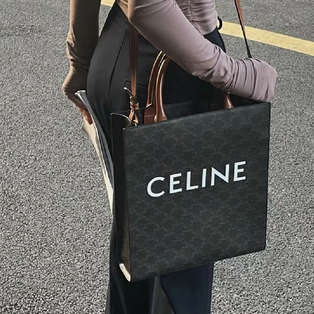 95新 Celine/思琳 赛琳 凯旋门 老花琴谱小号 单肩包 8628362
