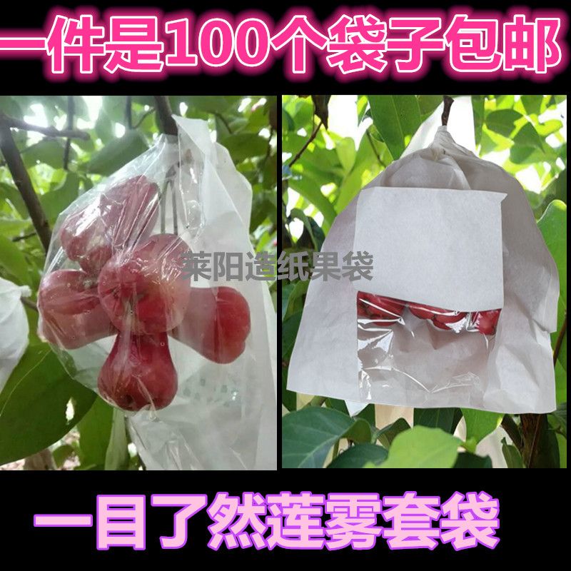 开窗半透明水蓊莲雾套袋专用袋爪哇洋蒲桃纸袋天桃水果果袋琏雾袋
