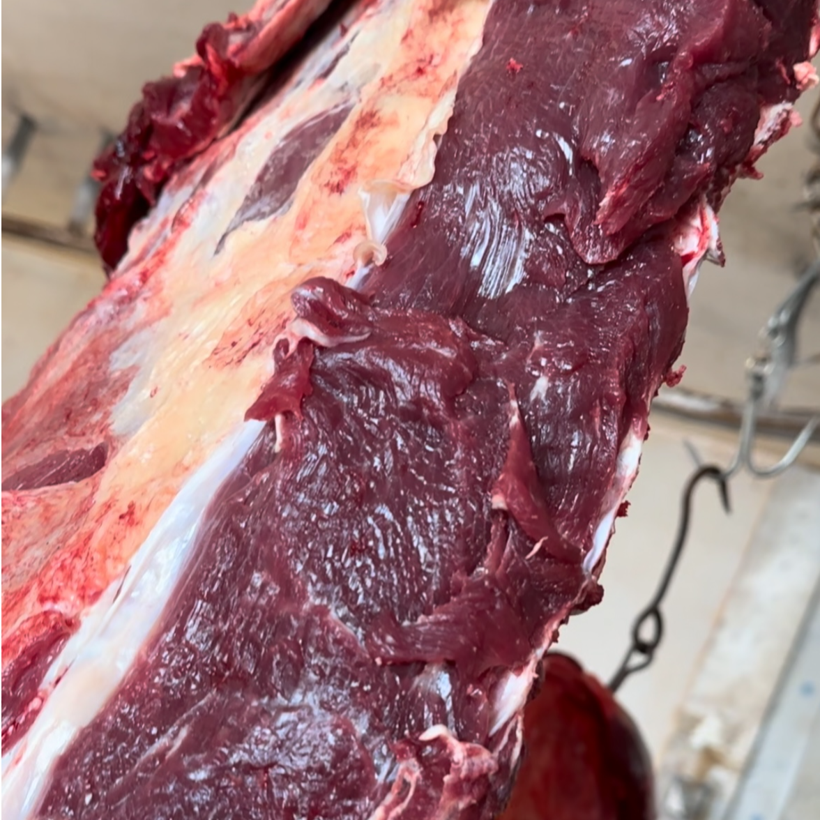 【牛肉5斤】内蒙羊多多精选草坡散养牛肉5斤新鲜营养健康美味