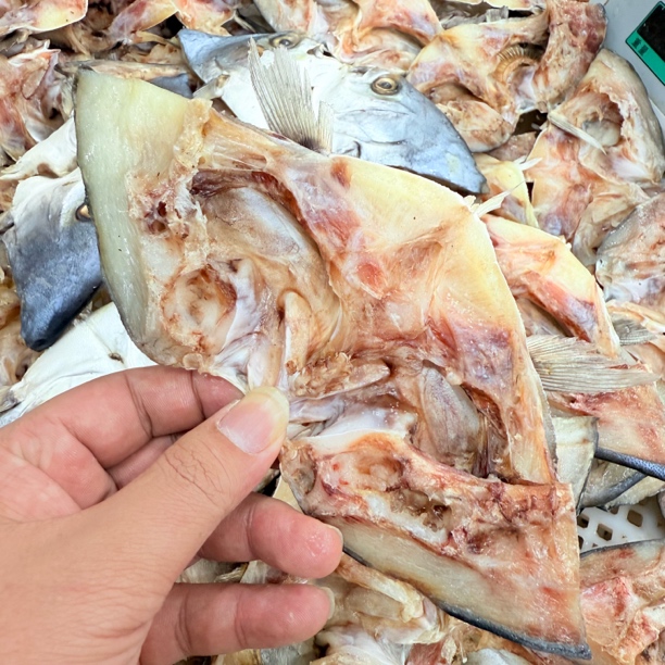 【马鲛仔海产】淡晒（金鲳鱼）净鱼头  1斤装 顺丰包邮 博贺港海产