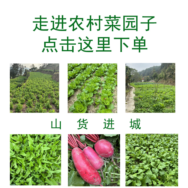 贵州农家生鲜 水果 产地直发 
