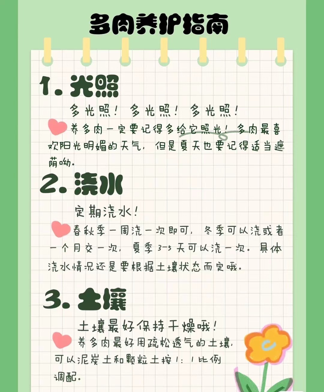 黑橙穴盘多肉（满18包邮）