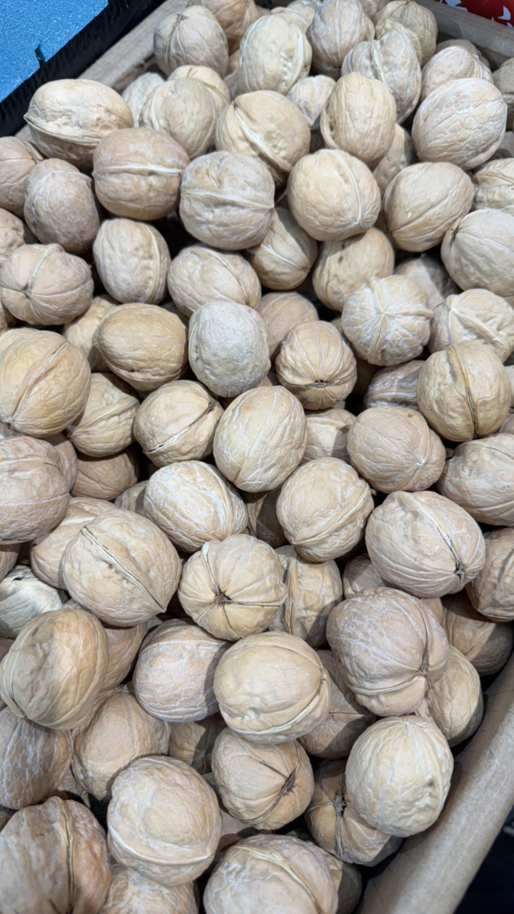 纸皮核桃3斤/份（果肉可使用率高）