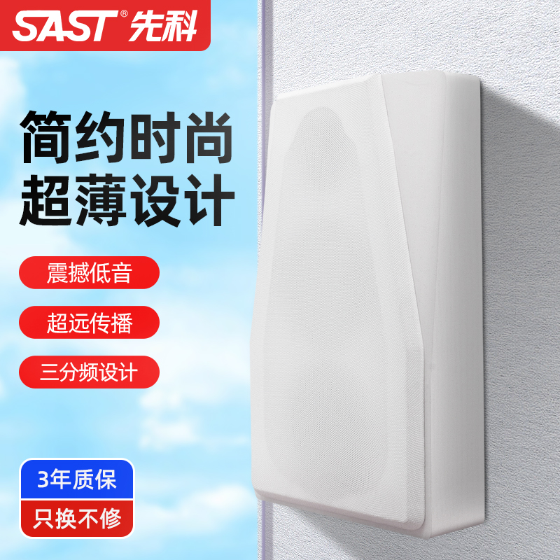 先科背景一体机音乐控制器家用环绕立体声家用木质箱体壁挂音响